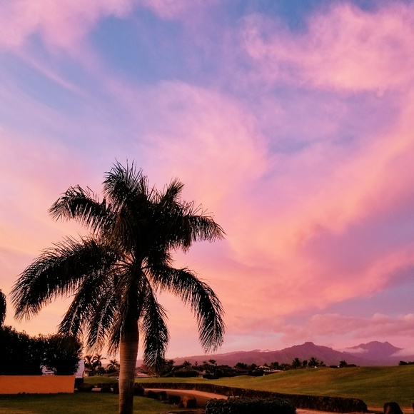 Meet your Posher, Dominique - Picture 4 of 5